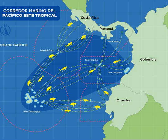 Rige en Ecuador la nueva reserva marina de Galápagos 